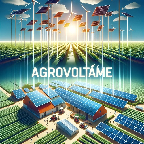 Agrivoltaïsme en Tunisie : avantages et futurs projets