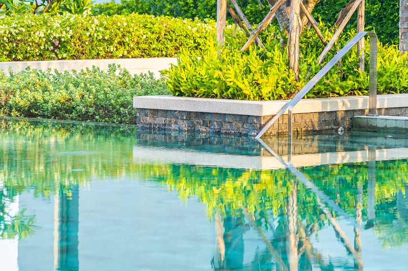 piscine naturelle
