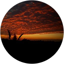 Nassr belhaj profile picture