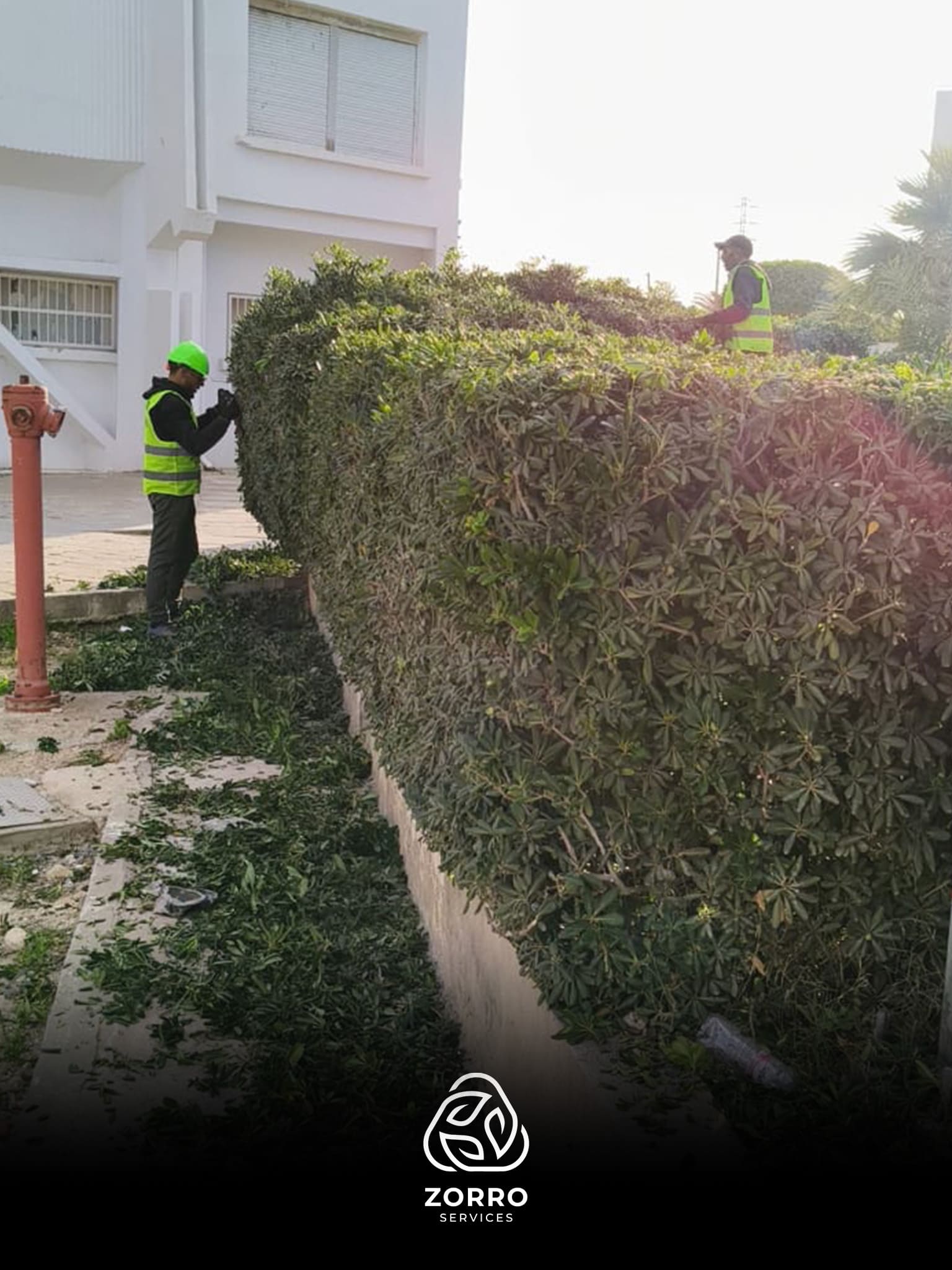 Equipe de jardiniers
