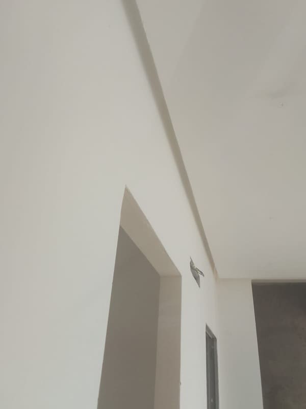 Projet peinture appartement