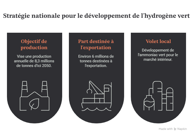 Hydrogène vert en Tunisie opportunité industrielle ou modèle d'exportation